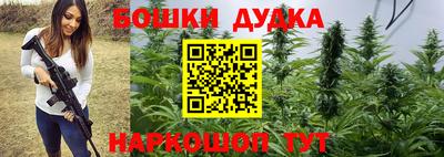 apvp Беслан