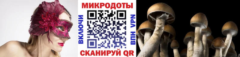 купить наркоту  Воркута  Псилоцибиновые грибы Psilocybine cubensis 