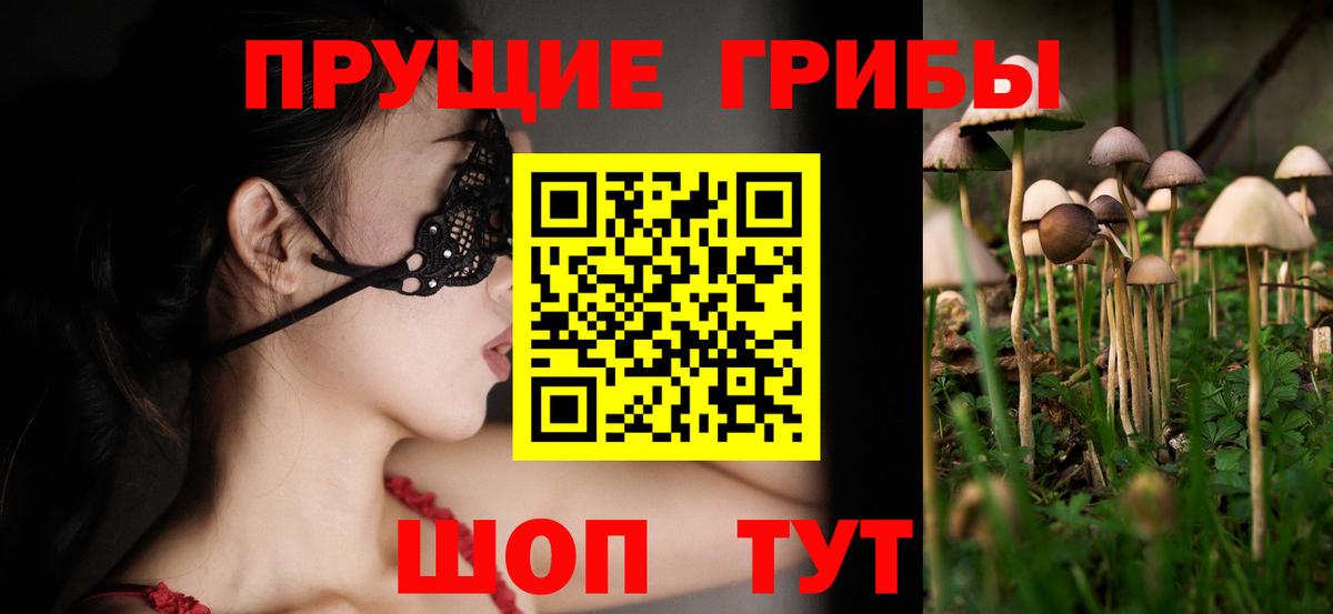 Галлюциногенные грибы GOLDEN TEACHER Воркута