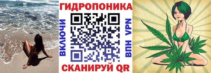 Бошки марихуана сатива Воркута